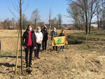 A Villafranca novantanove alberi piantati al parco delle Verne