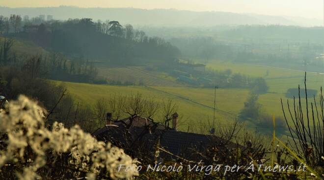 in cerca di bellezza nicolò virga