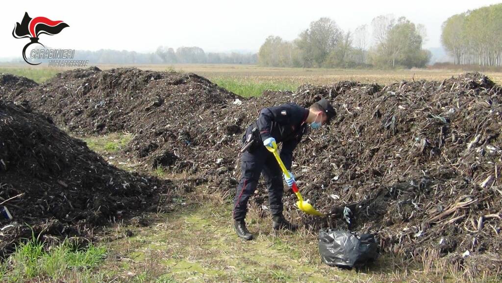 Operazione fertil plastic Carabinieri Forestali di Cuneo 