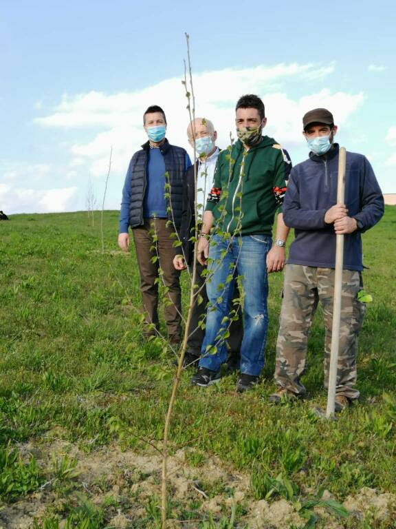 san damiano d'asti potature e nuovi alberi piantati