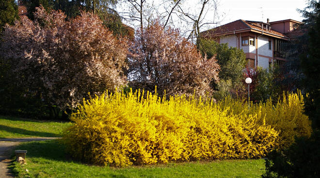 Seconda riunione del Tavolo tecnico per il Piano e il Regolamento del verde di Asti