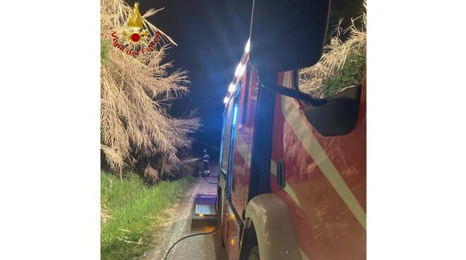 incendio canneto antignano