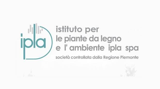 ipla logo