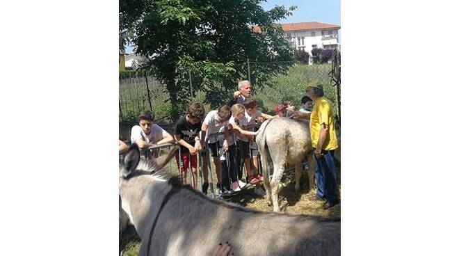 festa della terra i.c. villanova d'asti