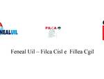 fillea cgil filca cisl feneal uil