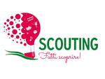 scouting