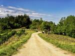 XIII Edizione del Festival del Paesaggio Agrario 2021 vinchio