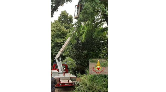 vigili del fuoco parco rainero 