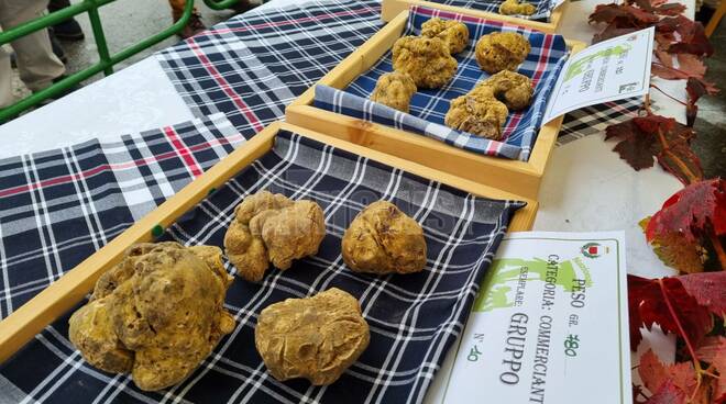 Fiera Nazionale del Tartufo bianco di Moncalvo