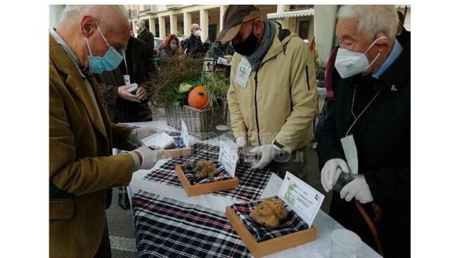 fiera tartufo