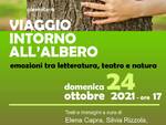 viaggio intorno all'albero