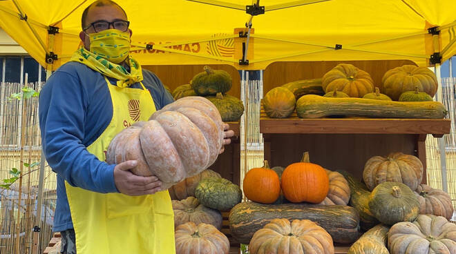 zucca campagna amica - coldiretti asti