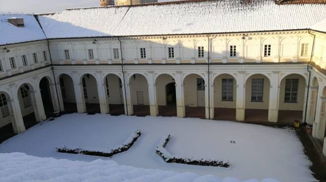 natale tra asinelli e fossili