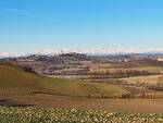 paesaggio agricoltura monferrato