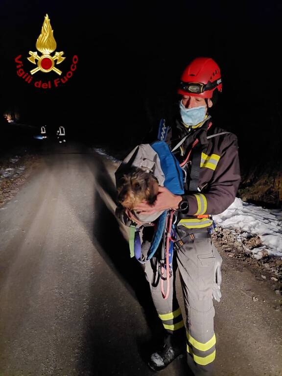 Alfiano Natta, un cagnolino finisce nella cava ma lo salvano i vigili del fuoco