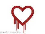 cuore sangue pixabay stop violenza