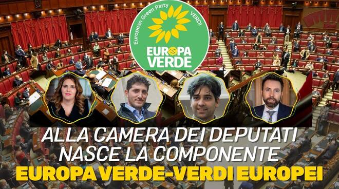 Europa Verde-Verdi Europei parlamentari