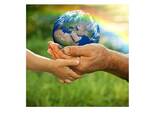giornata mondiale dell'ambiente 5 giugno