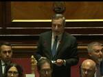 Draghi senato crisi governo