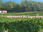 sagre graal nostre estate vigneti uva 