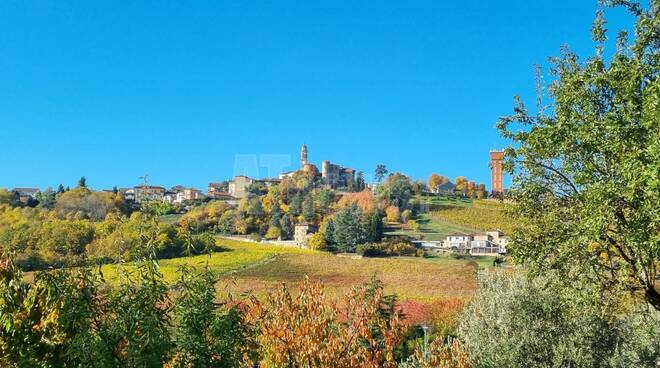 calosso autunno