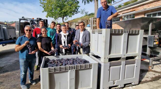 vendemmia carcere alba