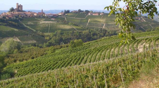 colline paesaggi langa archivio ente turismo