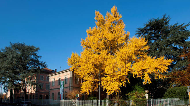 scuola enologica umberto I