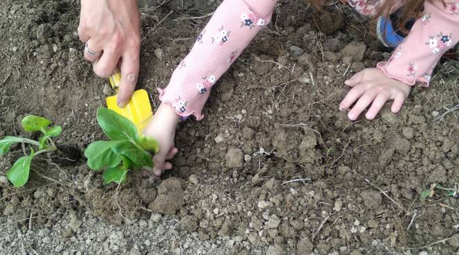 Orto didattico alla scuola dell'infanzia di Boglietto di Costigliole d'Asti