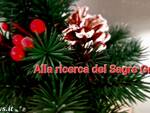 Sagre graal natale nostra atnews