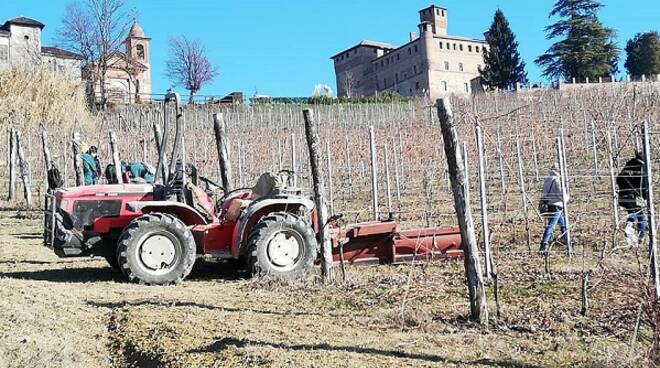 potatura scuola agraria grinzane