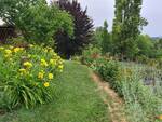 Nella foto uno scorcio del giardino della Professoressa Paola Grassi