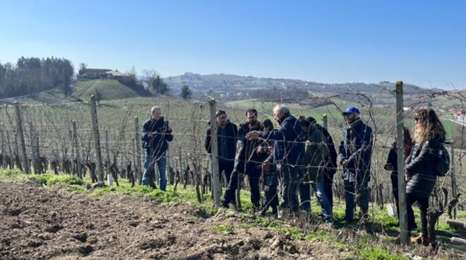 festa potatura castagnole lanze