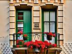 Balcone fiorito san Damiano 