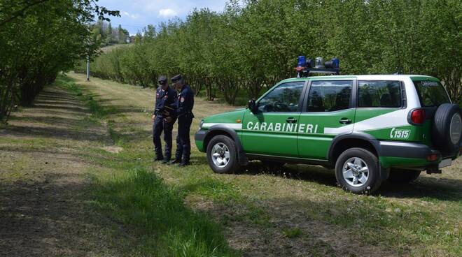 carabinieri forestali