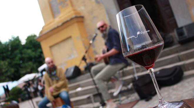 barbera unplugged