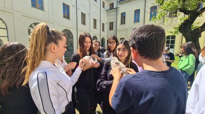 il cielo di matteo liceo umberto eco alessandria