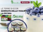 yogurt la decima