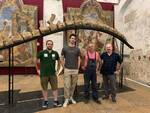 allestimento capodoglio fossile museo paleontologico