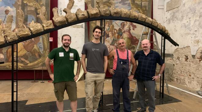 allestimento capodoglio fossile museo paleontologico