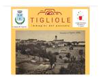 www.tiglioleimmaginidelpassato.it