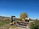 piantumazione alberi ospedale ferrero