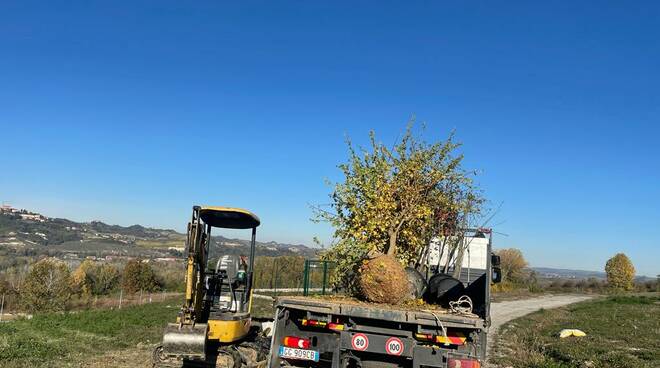 piantumazione alberi ospedale ferrero